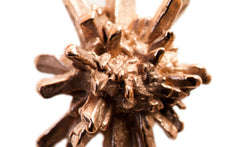 ROSES FROM GAIA EARRINGS