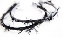 HEADBAND OF THORNS