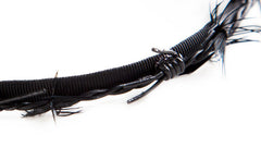 HEADBAND OF THORNS