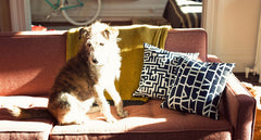 MAZE AND CUTOUTS PILLOWS