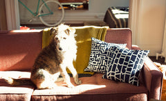 MAZE AND CUTOUTS PILLOWS