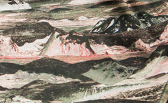 MOUNTAIN CAMO SHORTS