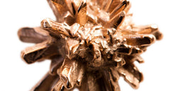 ROSES FROM GAIA EARRINGS -- WAIT LIST