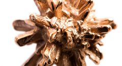 ROSES FROM GAIA EARRINGS