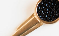 STINGRAY PENDULUM NECKLACE